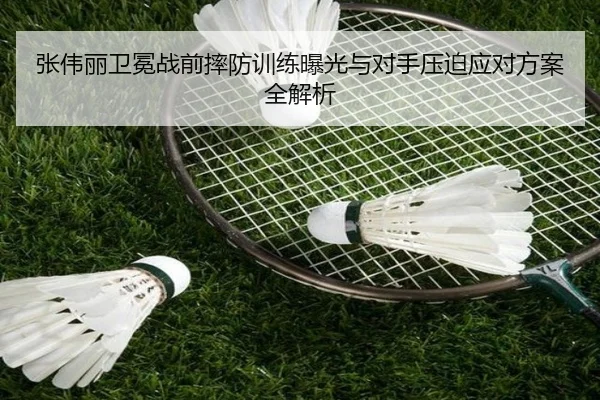张伟丽卫冕战前摔防训练曝光与对手压迫应对方案全解析（MLSPORTS）