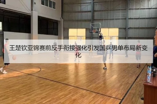 王楚钦亚锦赛前反手衔接强化引发国乒男单布局新变化 - MLSPORTS